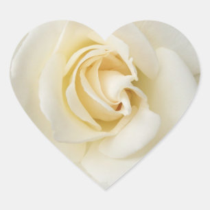 White Rose Stickers