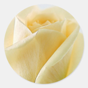 White Rose Stickers and Envelope Seals