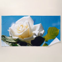 White rose under blue sky