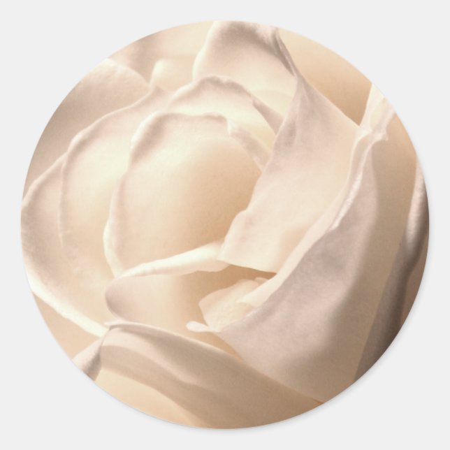 White Rose Wedding And Event Envelope Seal (Front)