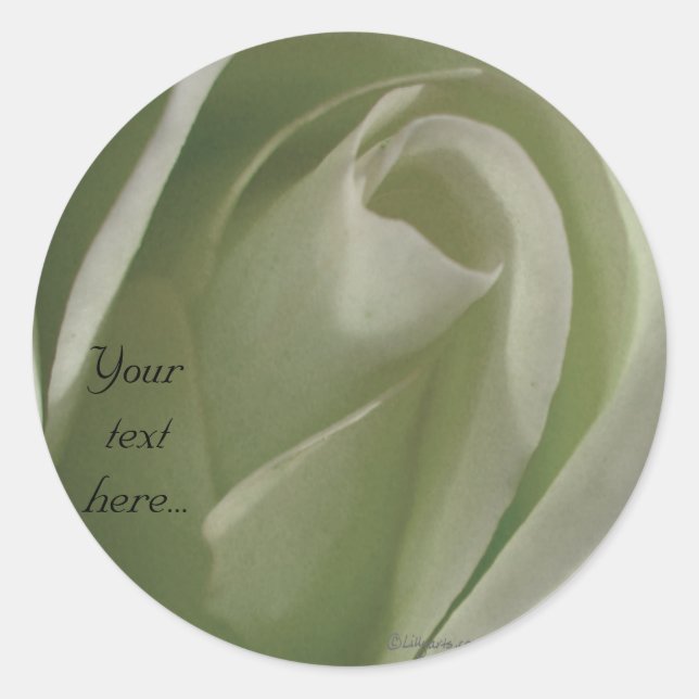 White Rose Wedding Stickers /Round Labels (Front)