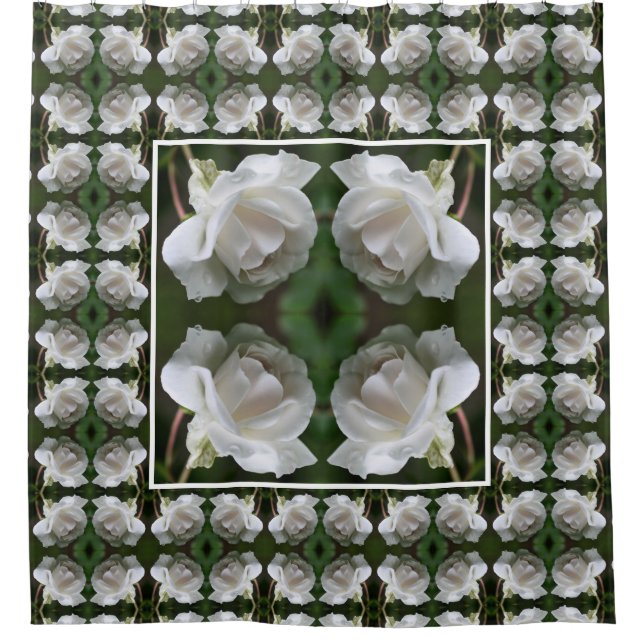 White Rose With Raindrops Abstract (Front)
