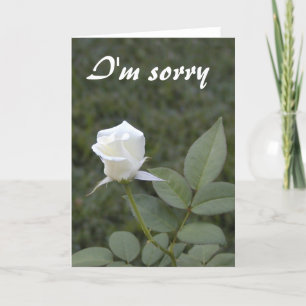 White rosebud apology card