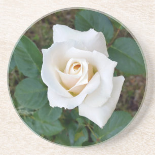 white rosebud coaster
