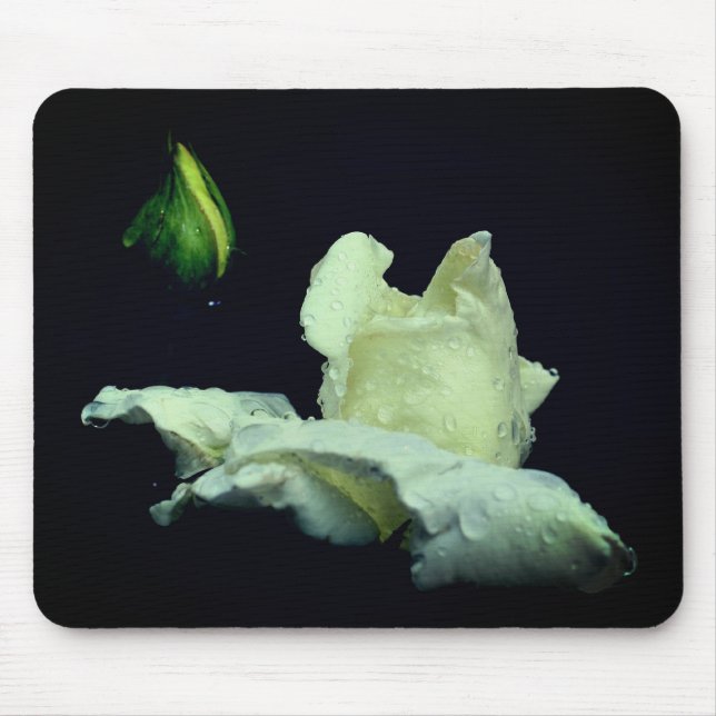 White Rosebud Flower Photography  Mouse Pad (Front)