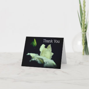 White Rosebud Flower Thank You Card