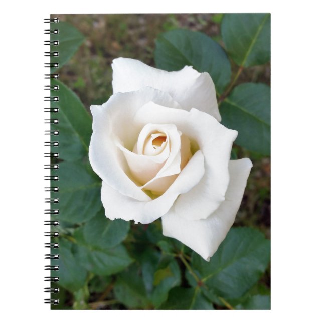 white rosebud notebook (Front)