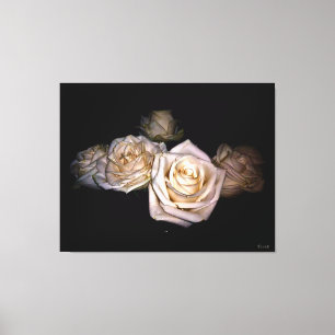 White Roses Against Dark Background Canvas Print