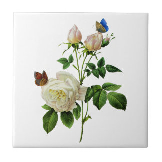 White Roses and Butterflies by Redoute Tile
