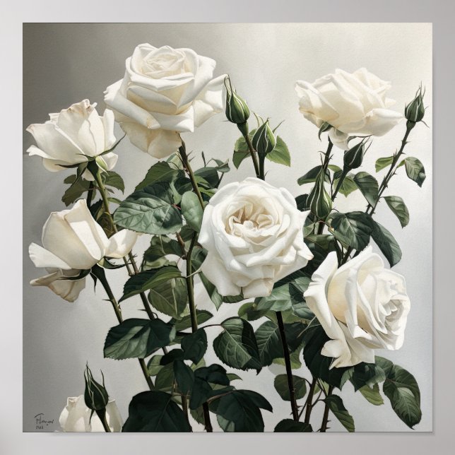 White Roses Flower Art Print Poster (Front)