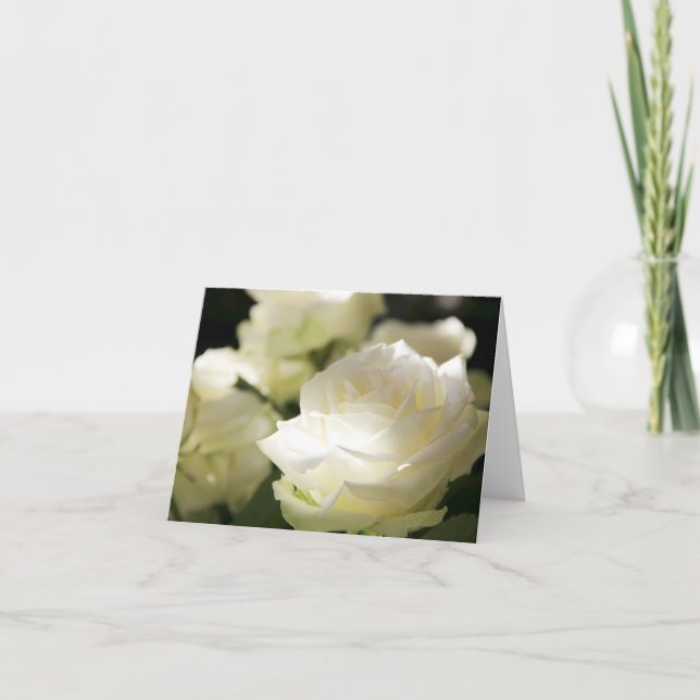 White Roses in Sunlight Blank Card (Front)