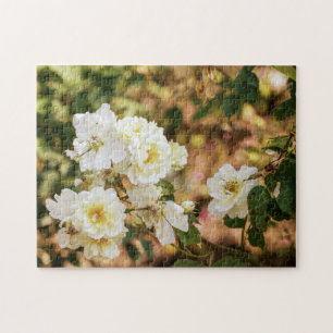 White Roses In The Garden Jigsaw Puzzle 