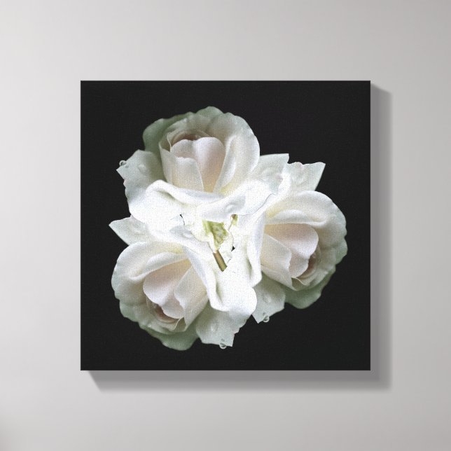 White Roses With Raindrops Bouquet   Canvas Print (Front)