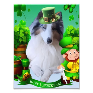 White Rough Collie celebrating St. Patrick's Day Photo Print