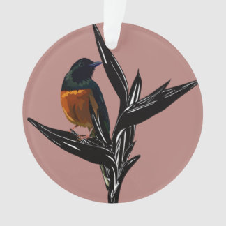 White-Rumped Shama bird Acrylic Ornament
