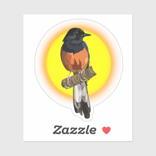 White rumped Shama bird Sticker (Sheet)