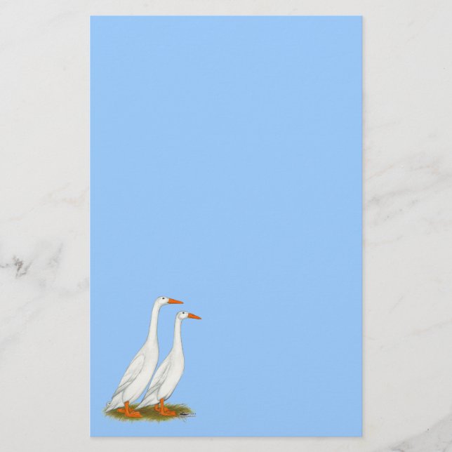 White Runner Ducks Stationery (Front)