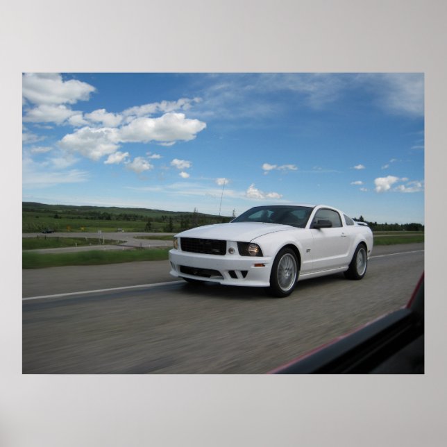 White Saleen Mustang Poster (Front)