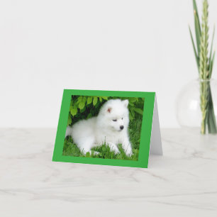 White Samoyed Puppy Dog Blank Note Card