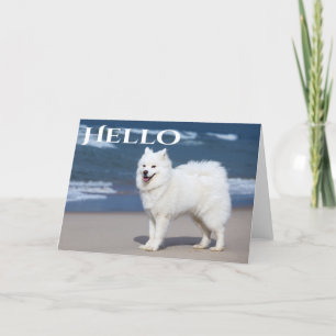 White Samoyed Puppy Dog - Hello, Thinking Of You Card