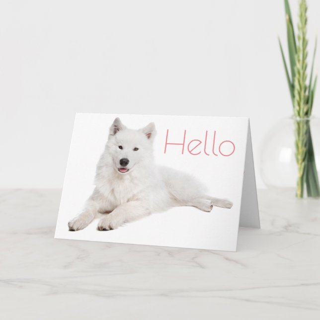 White Samoyed Puppy Dog - Hello, Thinking Of You Card (Front)