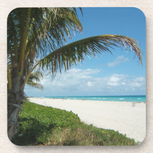 White Sand Beach w/Palm Coaster