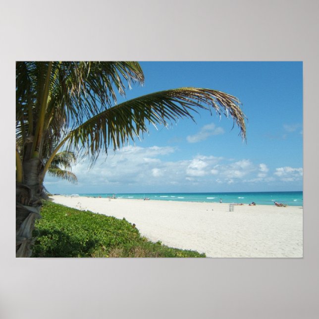 White Sand Beach w/Palm Poster (Front)