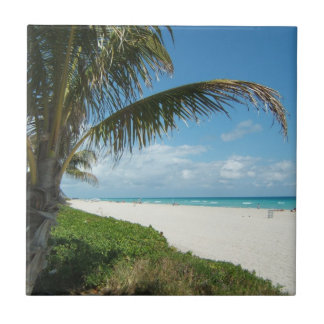 White Sand Beach w/Palm Tile