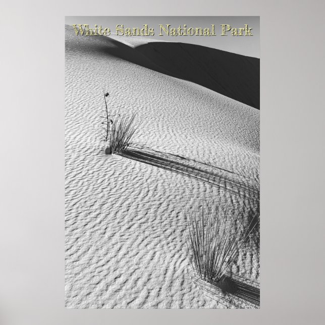White Sands Dunes Landscape Black and White Poster (Front)