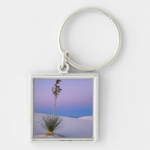 WHITE SANDS NATIONAL MONUMENT, NEW MEXICO. KEYCHAIN