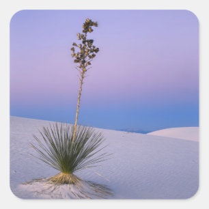 WHITE SANDS NATIONAL MONUMENT, NEW MEXICO. SQUARE STICKER