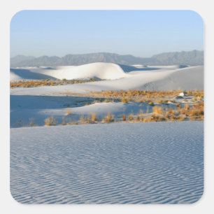 White Sands National Monument, Transverse Dunes Square Sticker