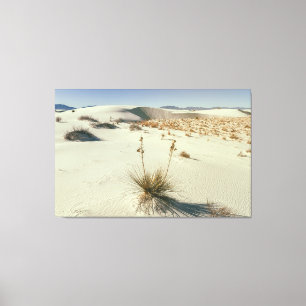 White Sands National Park Canvas Print