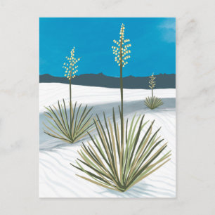 White Sands National Park New Mexico Gypsum Yucca Postcard