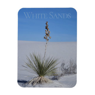 White Sands National Park Souvenir Fridge Magnet