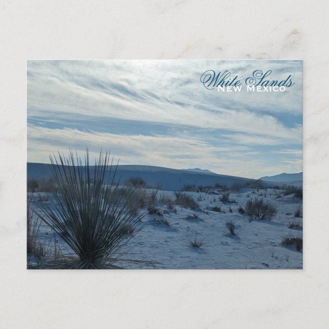 White Sands New Mexico Desert Southwest Sand Dunes Postcard (Front)
