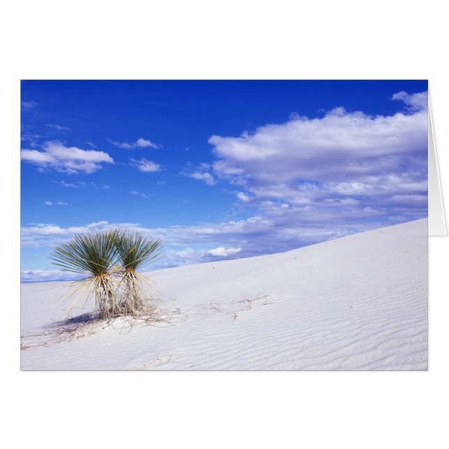 White Sands NM, New Mexico, USA (Front Horizontal)