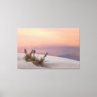 White Sands Sunset  Canvas Print