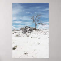 White Sands Zion National Park  Photo
