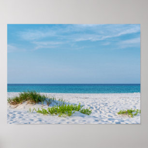 White Sandy Beach Florida Coastline Poster