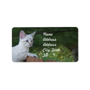 White Savannah Cat Address Sticker