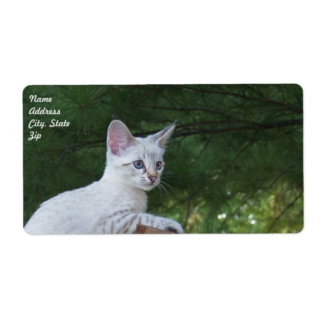 White Savannah Cat Shipping Label (Front)