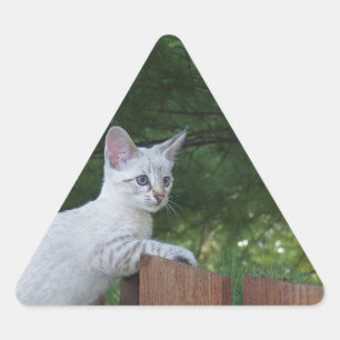 White Savannah Cat Triangle Sticker