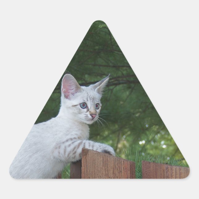 White Savannah Cat Triangle Sticker (Front)