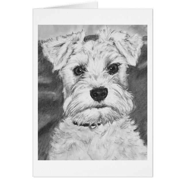 White Schnauzer (Front)