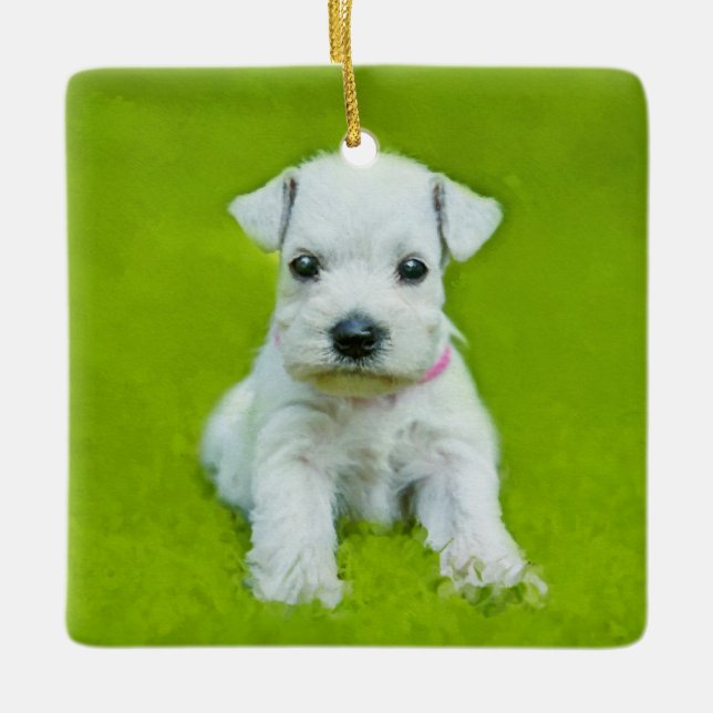 White Schnauzer Puppy Ceramic Ornament (Front)