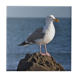 White seagull and ocean tile