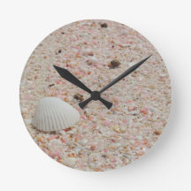 White seashell on Pink Sand Beach