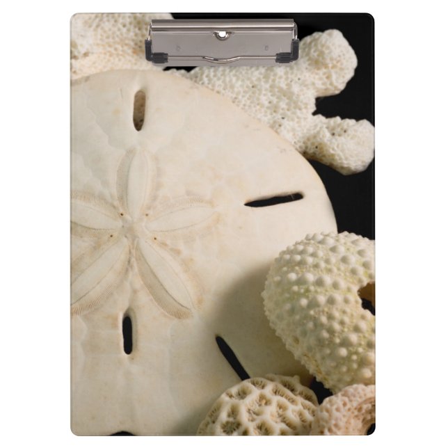 White Seashells And Sand Dollar Clipboard (Front)