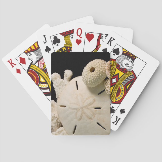 White Seashells And Sand Dollar Playing Cards (Back)